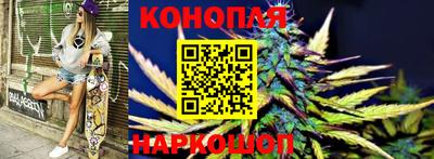 сатива Балаково