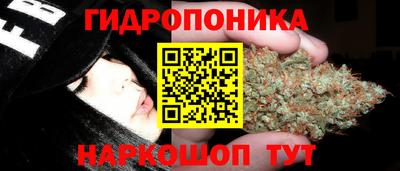 сатива Балаково