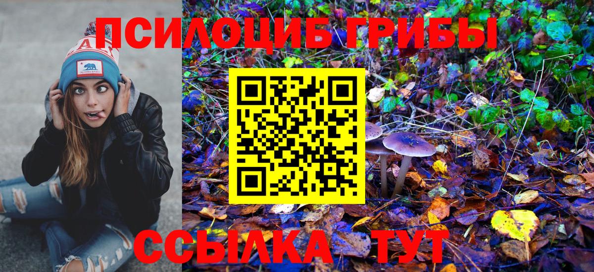 Ессентуки  Галлюциногенные грибы ЛСД  Вход с VPN 