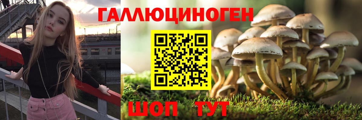 Галлюциногенные грибы GOLDEN TEACHER Ессентуки